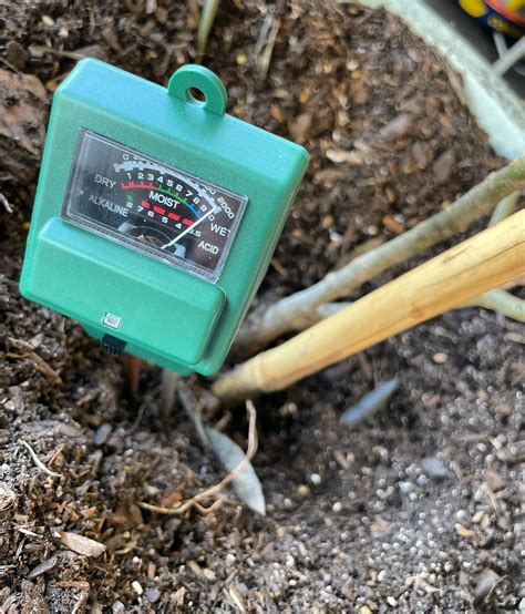 using a moisture meter on container tomatoes|tomatoville moisture meter reviews.